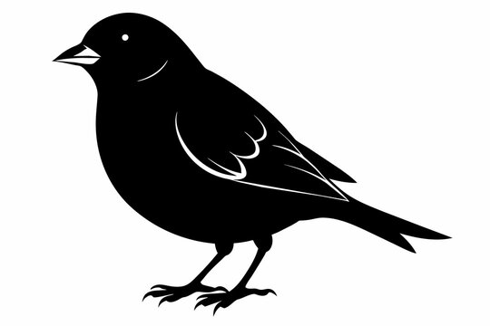 recommend clip art: Finch silhouette on white background, Vector illustration, icon, svg, characters, Holiday t shirt, Hand drawn trendy Vector illustration, eagle silhouette