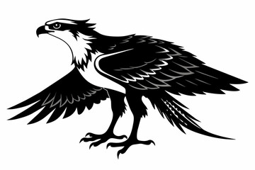 Osprey silhouette on white background, Vector illustration, icon, svg, characters, Holiday t shirt, Hand drawn trendy Vector illustration, eagle silhouette