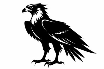 Osprey silhouette on white background, Vector illustration, icon, svg, characters, Holiday t shirt, Hand drawn trendy Vector illustration, eagle silhouette