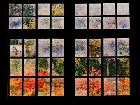 校舎の窓から見える紅葉