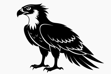 Osprey silhouette on white background, Vector illustration, icon, svg, characters, Holiday t shirt, Hand drawn trendy Vector illustration, eagle silhouette