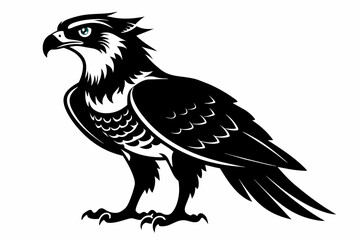 Osprey silhouette on white background, Vector illustration, icon, svg, characters, Holiday t shirt, Hand drawn trendy Vector illustration, eagle silhouette