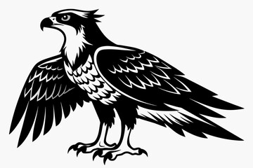 Osprey silhouette on white background, Vector illustration, icon, svg, characters, Holiday t shirt, Hand drawn trendy Vector illustration, eagle silhouette