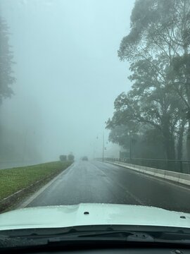 neblina na estrada