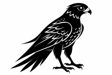 kestrel silhouette on white background, Vector illustration, icon, svg, characters, Holiday t shirt, Hand drawn trendy Vector illustration, eagle silhouette