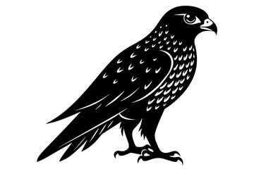 kestrel silhouette on white background, Vector illustration, icon, svg, characters, Holiday t shirt, Hand drawn trendy Vector illustration, eagle silhouette