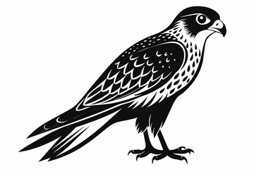kestrel silhouette on white background, Vector illustration, icon, svg, characters, Holiday t shirt, Hand drawn trendy Vector illustration, eagle silhouette