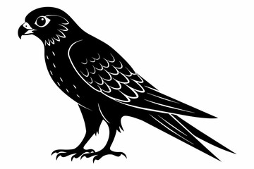 kestrel silhouette on white background, Vector illustration, icon, svg, characters, Holiday t shirt, Hand drawn trendy Vector illustration, eagle silhouette