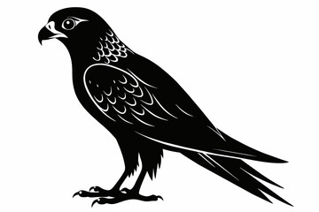 kestrel silhouette on white background, Vector illustration, icon, svg, characters, Holiday t shirt, Hand drawn trendy Vector illustration, eagle silhouette