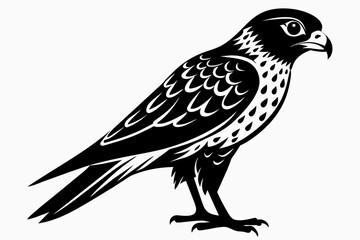 kestrel silhouette on white background, Vector illustration, icon, svg, characters, Holiday t shirt, Hand drawn trendy Vector illustration, eagle silhouette