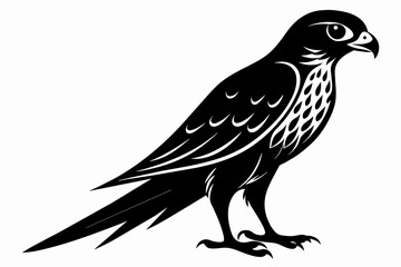 kestrel silhouette on white background, Vector illustration, icon, svg, characters, Holiday t shirt, Hand drawn trendy Vector illustration, eagle silhouette