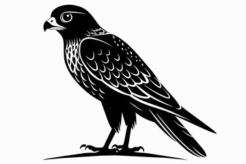 kestrel silhouette on white background, Vector illustration, icon, svg, characters, Holiday t shirt, Hand drawn trendy Vector illustration, eagle silhouette