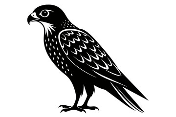 kestrel silhouette on white background, Vector illustration, icon, svg, characters, Holiday t shirt, Hand drawn trendy Vector illustration, eagle silhouette