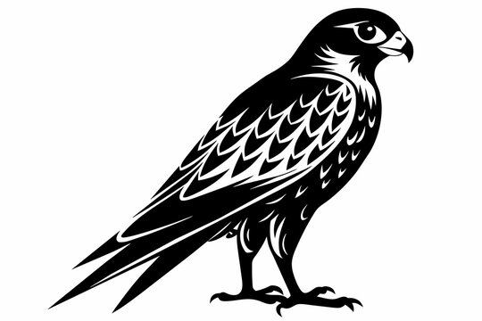 recommend clip art: kestrel silhouette on white background, Vector illustration, icon, svg, characters, Holiday t shirt, Hand drawn trendy Vector illustration, eagle silhouette