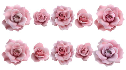 Stunning Pink Rose Flowers Set on Transparent Background, Perfect for Wedding Invitations, Floral Decor, and Romantic Designs