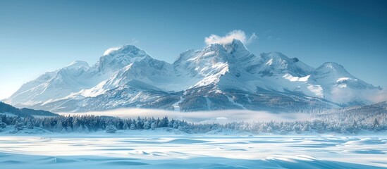 Snow-Covered Mountain Range With Foreground Trees - obrazy, fototapety, plakaty
