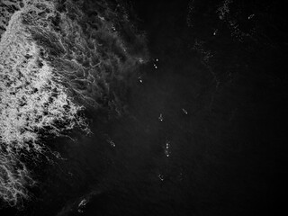 Black and white shot of surfers paddling out at surf break with waves breaking