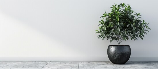 Plant in Black Vase on White Wall - obrazy, fototapety, plakaty