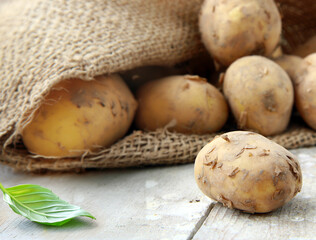organic farm potatoes on a wooden table