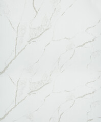 Fototapeta premium marble tone, texture