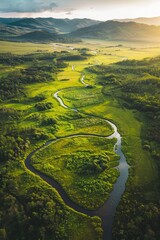 Aerial view of a lush green meadow bathed in golden morning light, with a winding river snaking through it