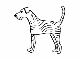 illustration of a dog on white background