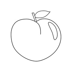 Ripe peach fruit with leaf, doodle style vector outline for coloring book