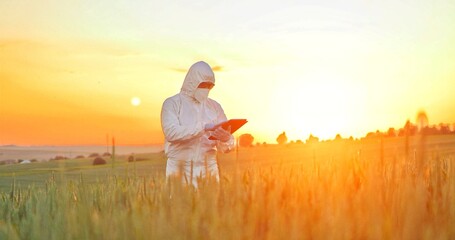 Expert wearing protective equipment browsing tablet computer applications while examining green crops at the field walking at the ecological organic farm garden
