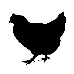 Beautiful black chicken vector silhouette art.This is an editable vector file.