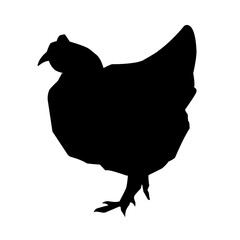 Beautiful black chicken vector silhouette art.This is an editable vector file.