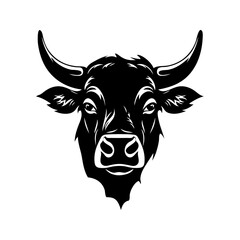 black and white bull