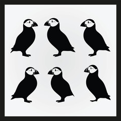 Puffin bird silhouette set Clipart on a hex color background
