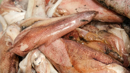 Close up uncleaned and unwashed calamari squid inside box. Selective focused.
