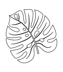 Hand drawn monstera leaf. Doodle vector illustration. Isolated icon on the white background.
