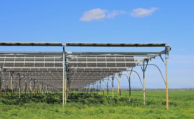 Serre photovoltaïque agricole.