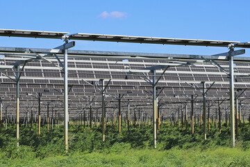 Serre photovoltaïque agricole.