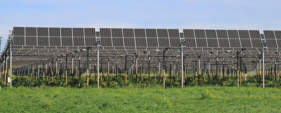 Serre photovolta&iuml;que agricole.