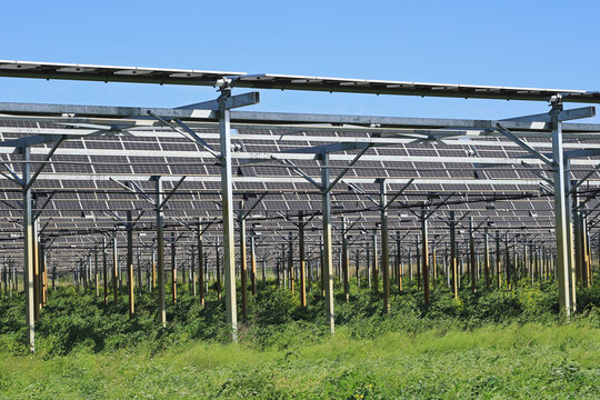 Serre photovolta&iuml;que agricole.