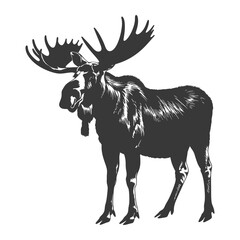 Fototapeta premium silhouette moose animal full body black color only