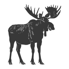 silhouette moose animal full body black color only