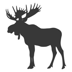 silhouette moose animal full body black color only