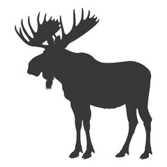 silhouette moose animal full body black color only