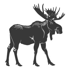 Obraz premium silhouette moose animal full body black color only
