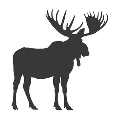 silhouette moose animal full body black color only