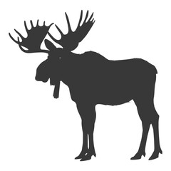 silhouette moose animal full body black color only