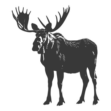 recommend clip art: silhouette moose animal full body black color only