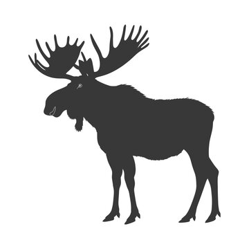 recommend clip art: silhouette moose animal full body black color only