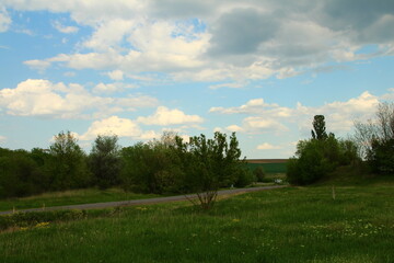 A grassy field with trees and a road