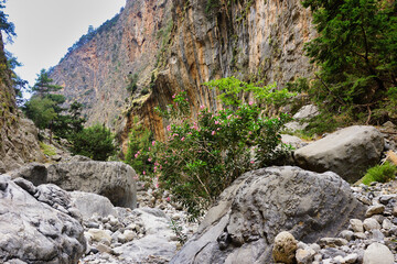 The Samaria Gorge is a National Park of Greece since 1962 on the island of Crete.