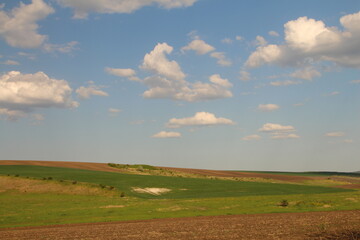 Obraz premium A green field with clouds